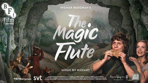 Magoc flute bergma